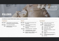 Les injections IMCAS World Congress 2023